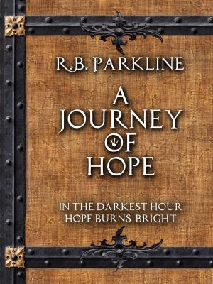 Cover of the book A Journey of Hope by Larry Young