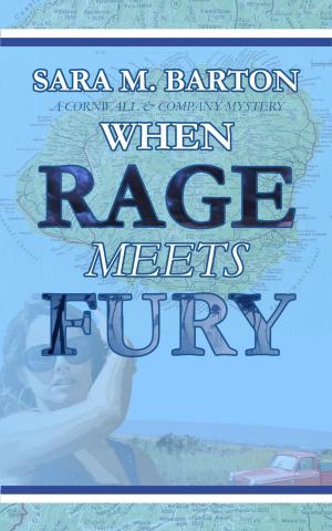 Cover of the book When Rage Meets Fury by CE Rocchi