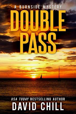 Cover of the book Double Pass by L.K.J. Pierce