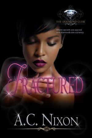Cover of the book Fractured by Chris Leigh