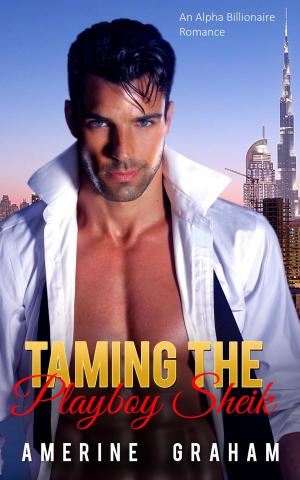 Cover of the book Taming the Playboy Sheik by Sandra Denbo, Tamarine Vilar
