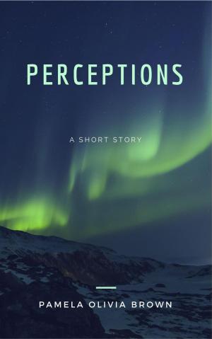 Cover of the book Perceptions: A Short Story by Ray Argyle