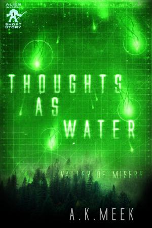 Book cover of Thoughts as Water