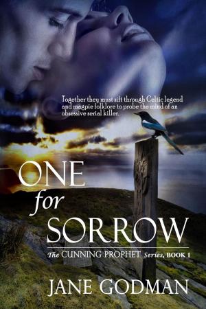 Cover of the book One For Sorrow by Steffanie Holmes