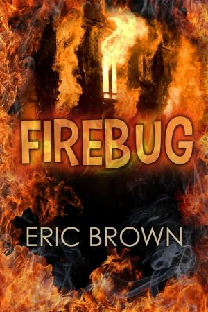 Cover of Fire Bug
