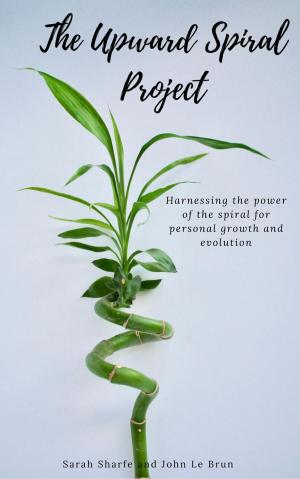 Cover of the book The Upward Spiral Project by THOTH, Gabrielle de la Fair - editor