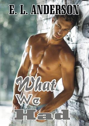 Book cover of What We Had