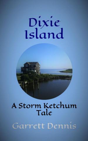 bigCover of the book Dixie Island by 
