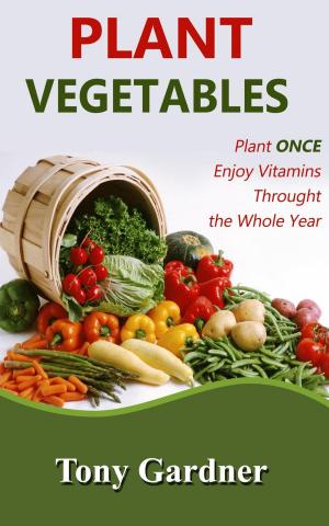 Cover of the book Plant Vegetables: Plant Once, Enjoy Vitamins Throughout the Whole Year by Diane Ellis