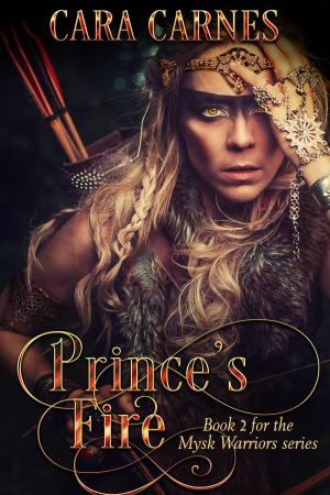 Cover of the book Prince's Fire by Blake J.K. Chen