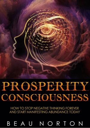 Cover of the book Prosperity Consciousness: How to Stop Negative Thinking Forever and Start Manifesting Abundance Today by Chris Thiga
