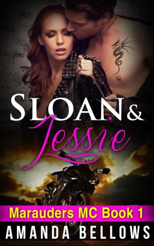 Cover of the book Sloan and Jessie by JD Anders