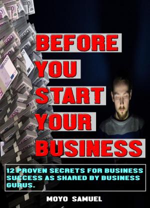Cover of the book BEFORE YOU START YOUR BUSINESS (12 Proven Secrets For Business Success As Shared By Business Gurus) by Farida Madre