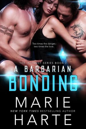 Book cover of A Barbarian Bonding