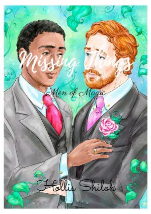 Cover of the book Missing Things by Denise Dowdell-Stent