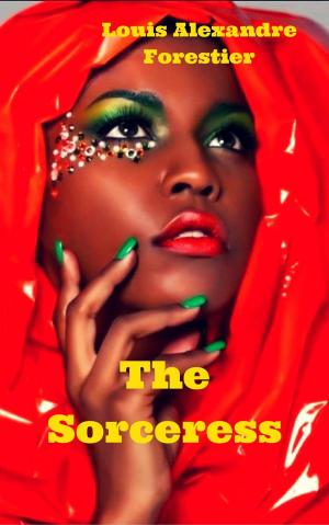 Cover of the book The Sorceress by Kerry Allen