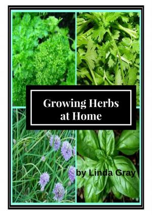 Cover of the book Growing Herbs at Home by Linda Gray
