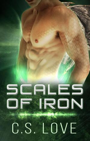 Book cover of Paranormal Shifter Romance Scales of Iron BBW Dragon Shifter Paranormal Romance