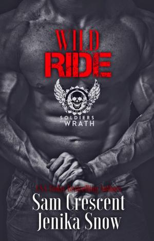 Cover of the book Wild Ride by Aden Lowe