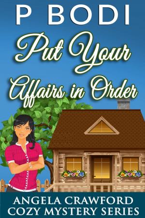 Cover of the book Put Your Affairs In Order by J.S. Devivre