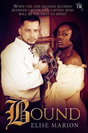 Cover of the book Bound by Alicia Michaels