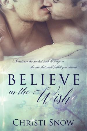 Book cover of Believe in the Wish