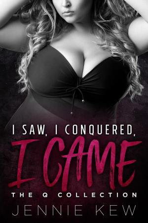 Cover of the book I Saw, I Conquered, I Came by Gail Koger