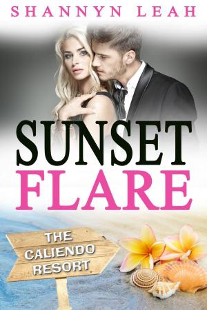 Cover of the book Sunset Flare by Carly Mardon