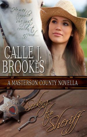 Cover of the book Seeking the Sheriff by Kelly Cozzone