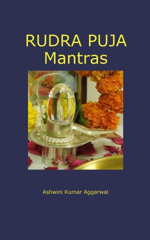 Book cover of Rudra Puja Mantras
