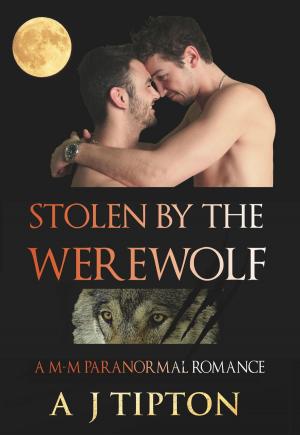 Cover of the book Stolen by the Werewolf: A M-M Paranormal Romance by AJ Tipton