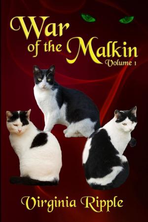 Cover of the book War of the Malkin by Silvia Marsz