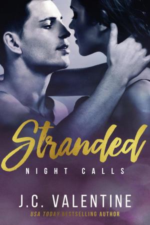 Cover of the book Stranded by Amy Stilgenbauer