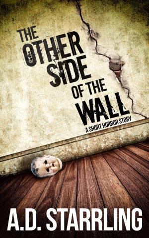 Cover of the book The Other Side of the Wall (A Short Horror Story) by Cicéron, Gallon la Bastide.