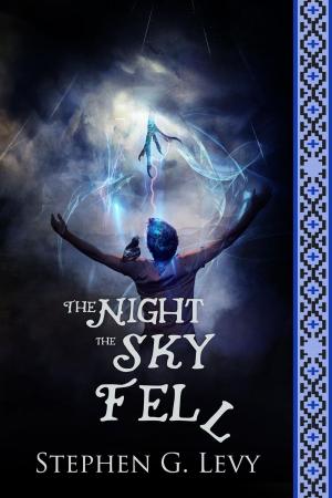 Book cover of The Night the Sky Fell