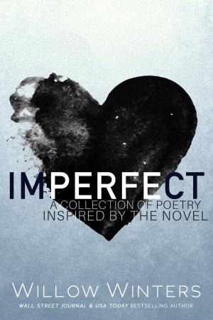 Cover of the book Imperfect by Raven M. Williams