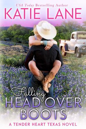 bigCover of the book Falling Head Over Boots by 