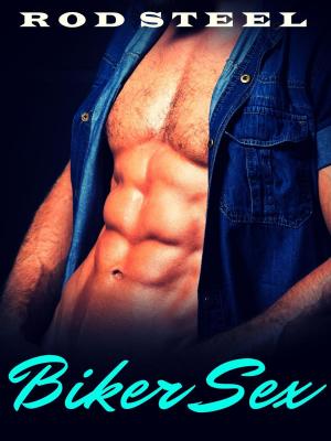 Cover of the book Biker Sex by Kelly Haven