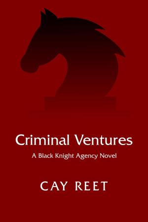 Cover of the book Criminal Ventures by Daniel Martin Black