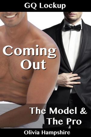 bigCover of the book The Model and the Pro by 