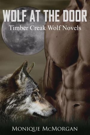 Book cover of Wolf at the Door