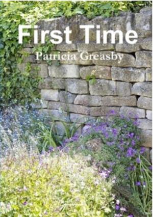 Cover of the book First Time by Elizabeth Craig