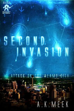 Book cover of Second Invasion
