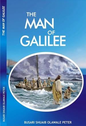 Cover of the book The Man Of Galilee by Kathye Kaan