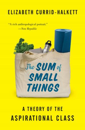 Cover of the book The Sum of Small Things by Partha Chatterjee