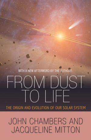 Cover of the book From Dust to Life by Éloi Laurent