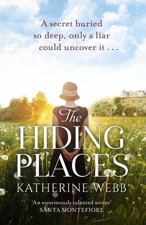 bigCover of the book The Hiding Places by 