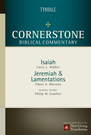 Cover of the book Isaiah, Jeremiah, Lamentations by Jerry B. Jenkins, Tim LaHaye