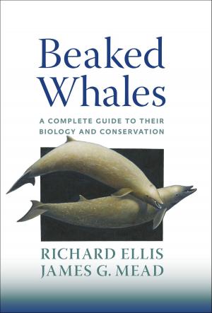 Book cover of Beaked Whales