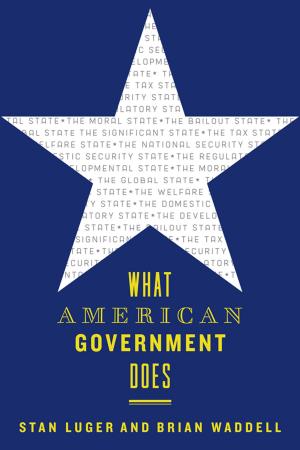 bigCover of the book What American Government Does by 